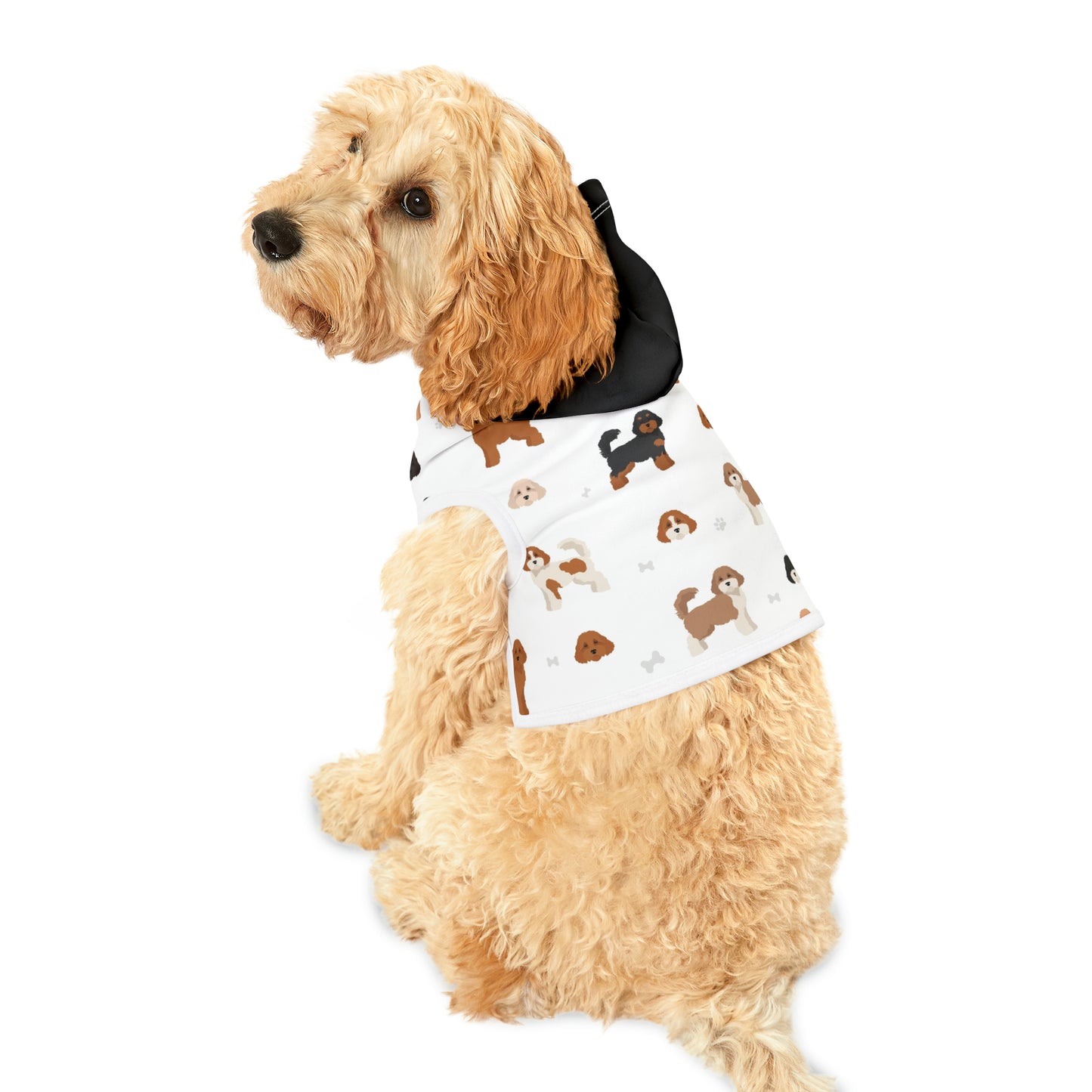 Pet Hoodie - Cavoodle Cuteness