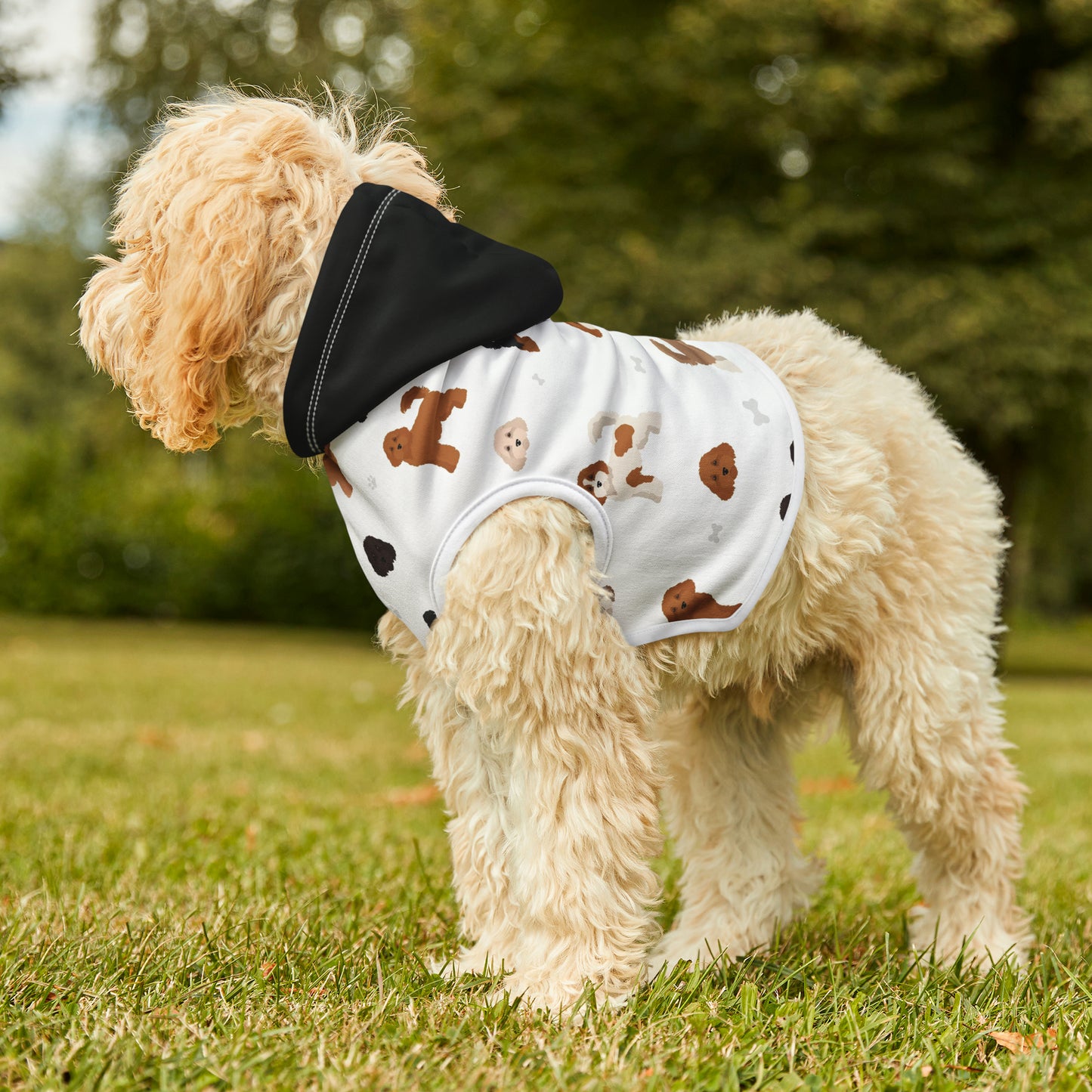 Pet Hoodie - Cavoodle Cuteness