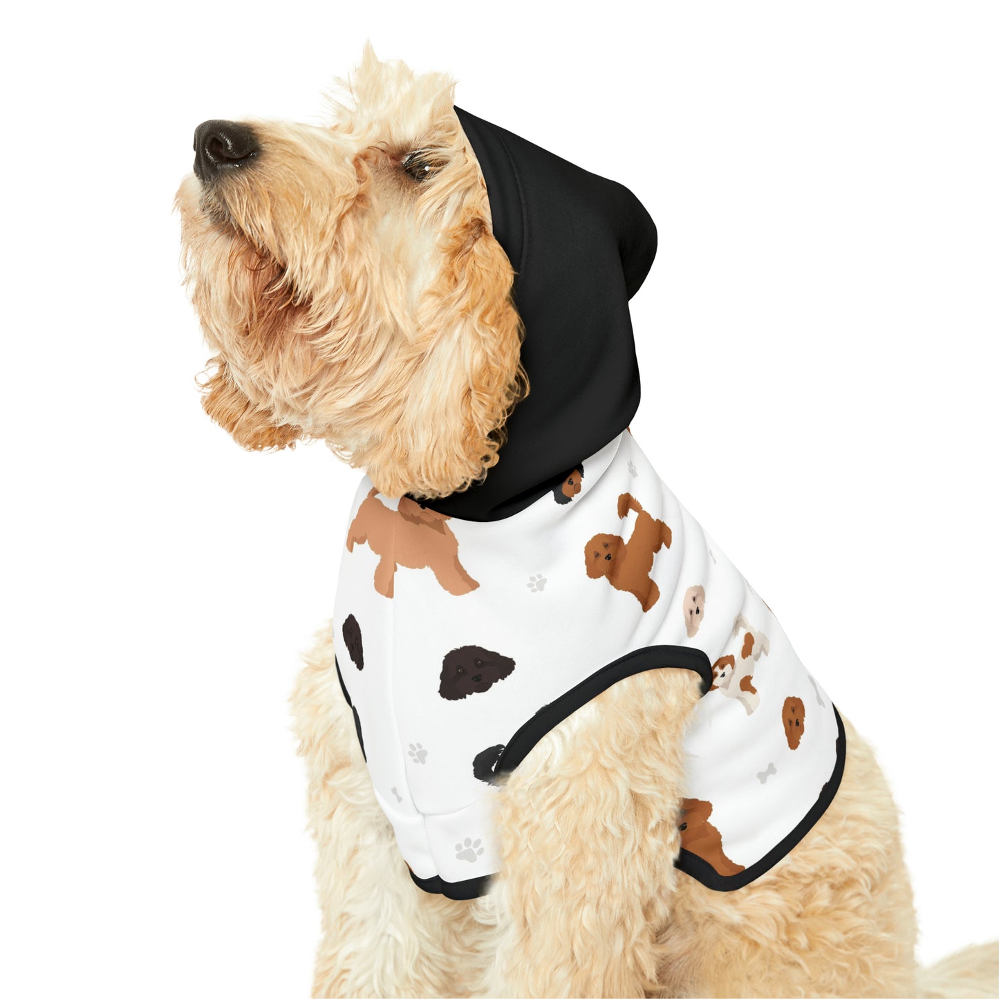 Pet Hoodie - Cavoodle Cuteness