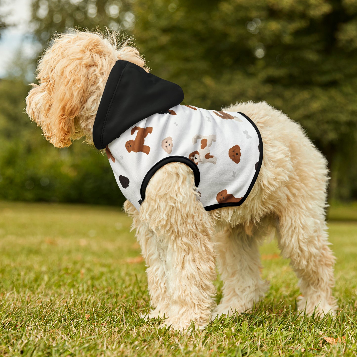 Pet Hoodie - Cavoodle Cuteness