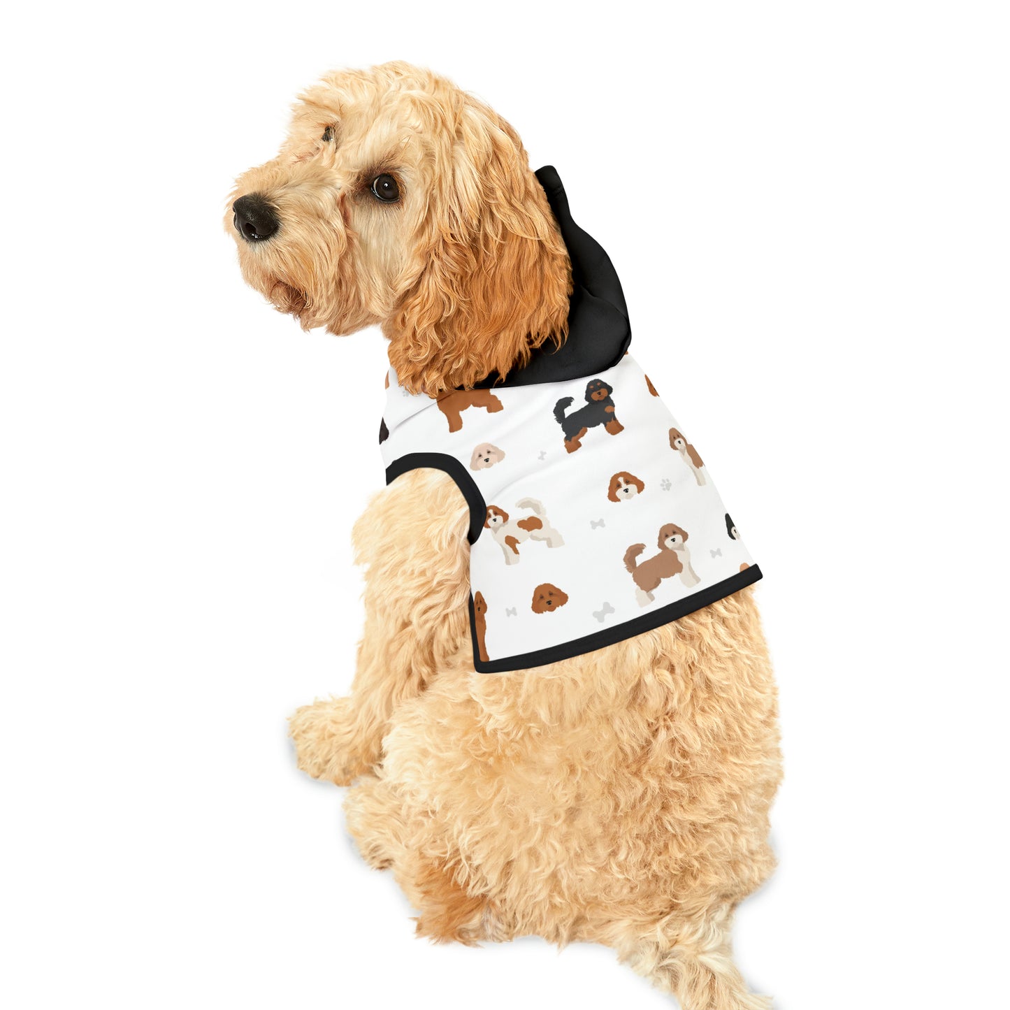 Pet Hoodie - Cavoodle Cuteness