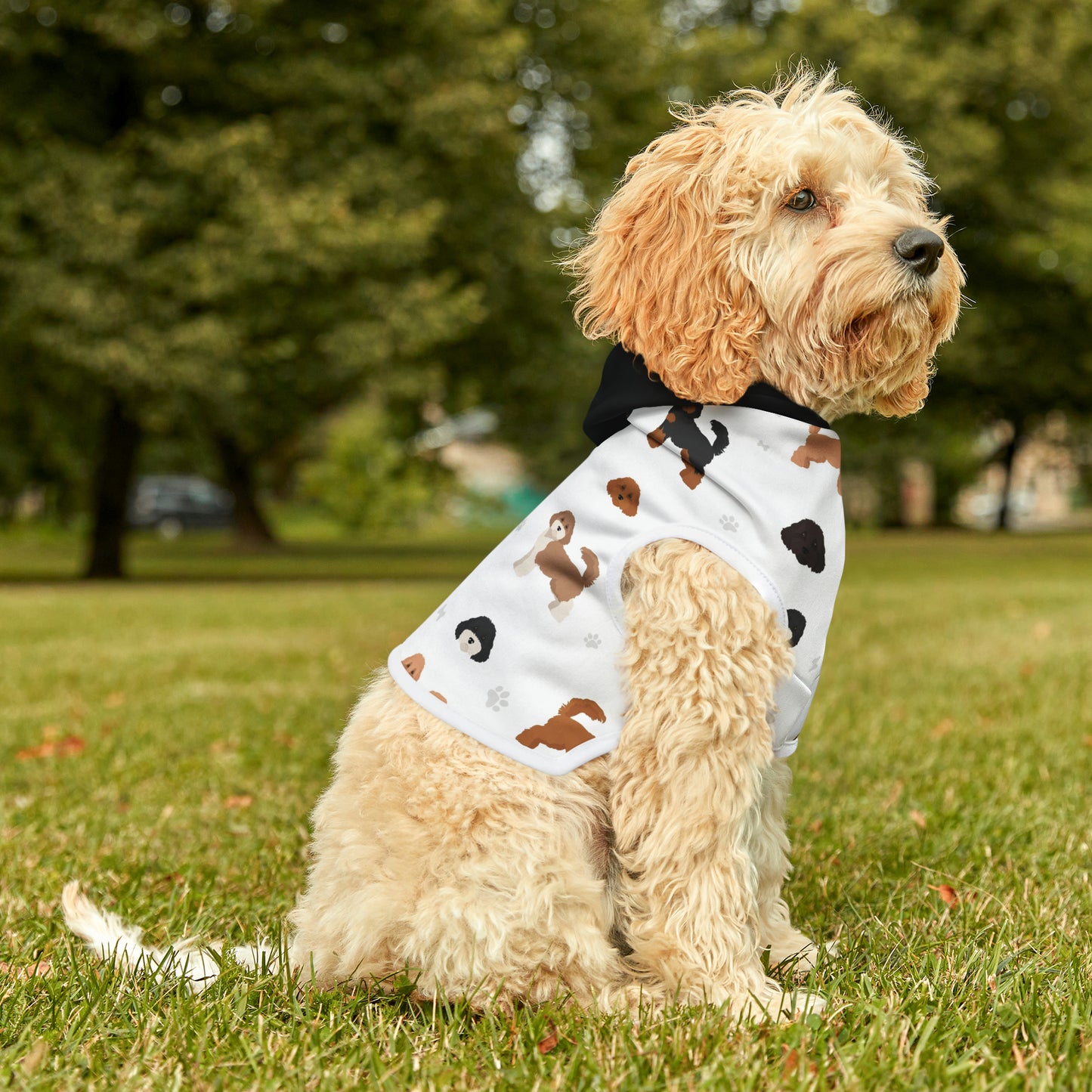 Pet Hoodie - Cavoodle Cuteness